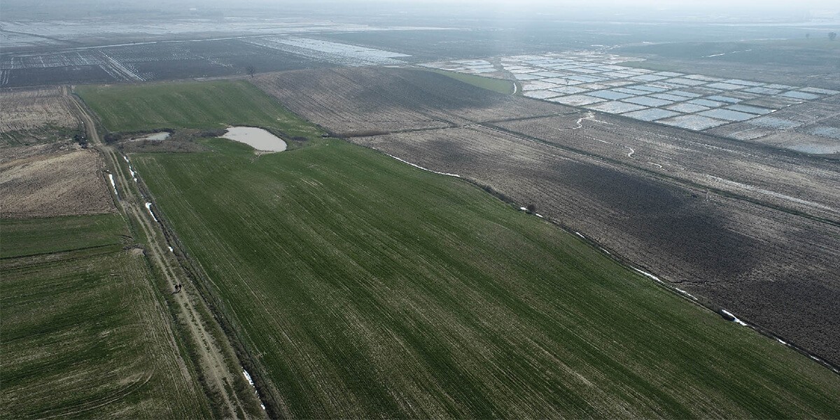 Agricultural land in the Edirne region T-1-12